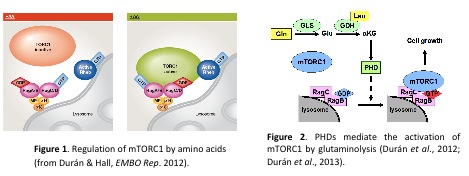 fig1et2