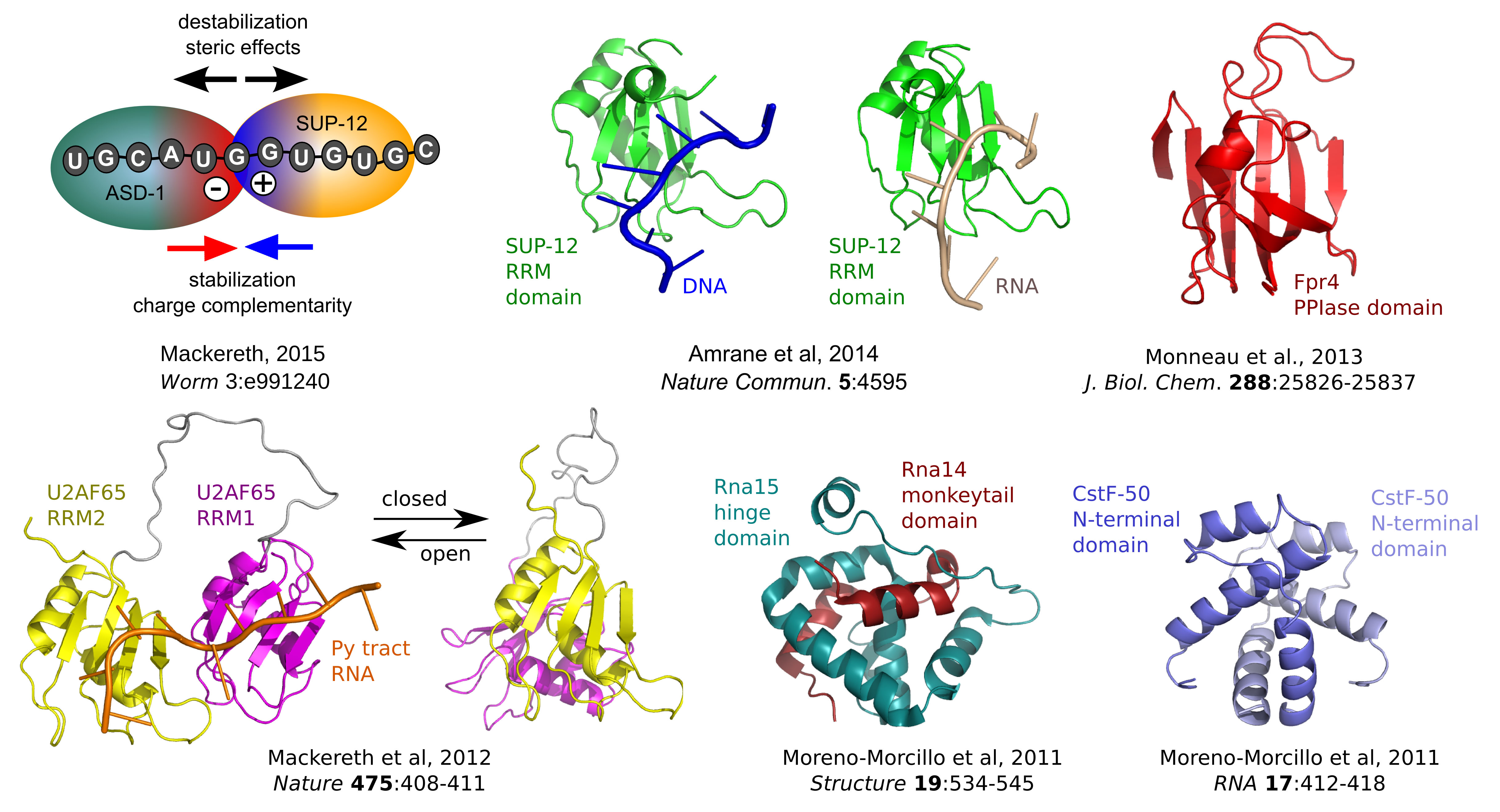 2015mackereth_figure1_for_annual_report