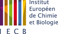 Institut Europen de Chimie et Biologie